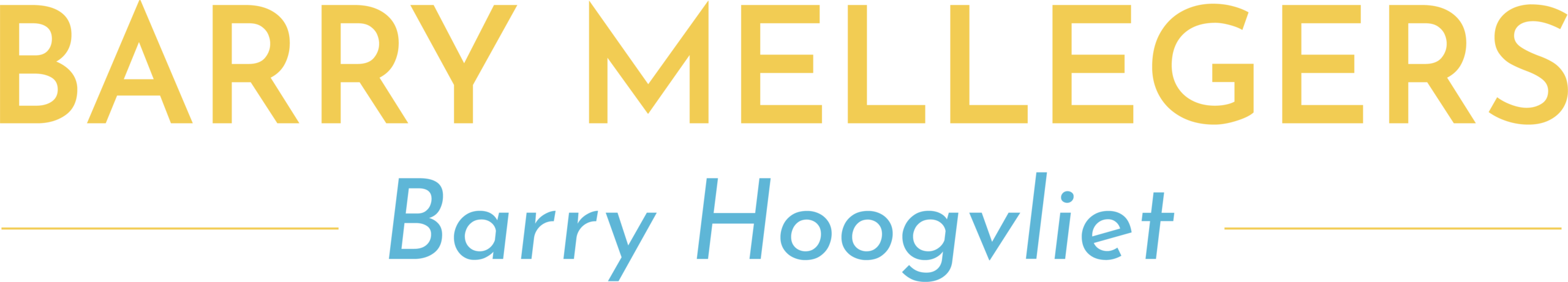 Verkiezingen Hoogvliet